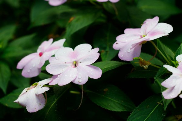 Wat zijn de meest effectieve manieren om je huis te versterken tegen inbraak?