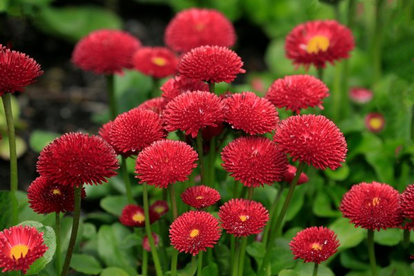 Hoe kun je je huis efficiënt inpakken voor een verhuizing?